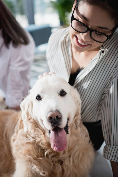 sorrindo asiático empresária petting cão
 - Foto, Imagem
