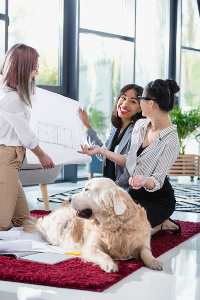 empresarias multiétnicas mirando el plano con perro
 - Foto, imagen