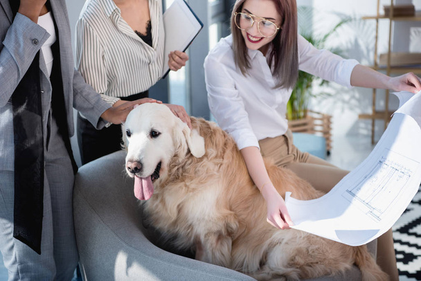 multiethnic businesswomen showing blueprint to dog - Foto, afbeelding