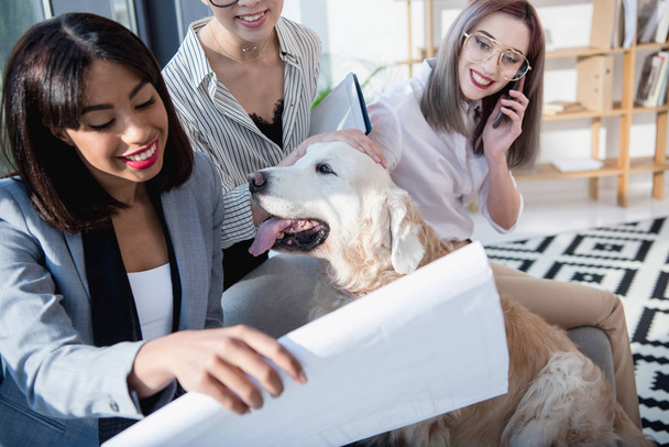 multiethnic businesswomen playing with dog at office - Fotoğraf, Görsel