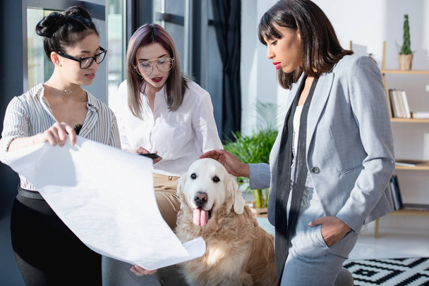 mulheres de negócios multiétnicas mostrando plano para cão
 - Foto, Imagem