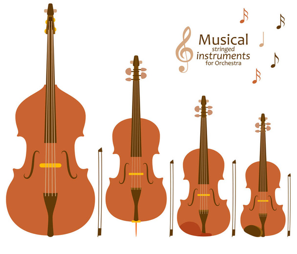 Musical stringed instruments for orchestra - Vector, Image