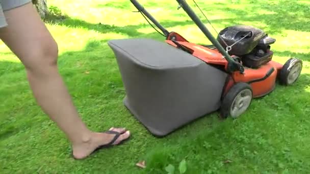 Садівниця в шортах штовхає газонокосарку, що ріже лугову траву. 4-кілометровий
 - Кадри, відео