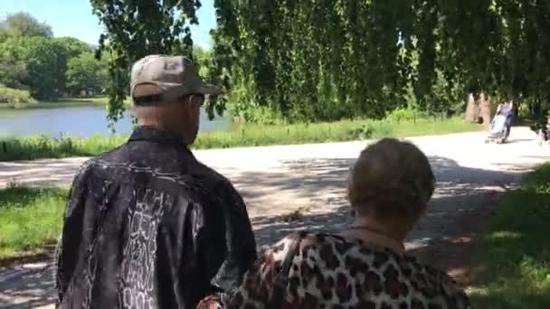 Senior couple enjoying walking in the summer Park - Πλάνα, βίντεο