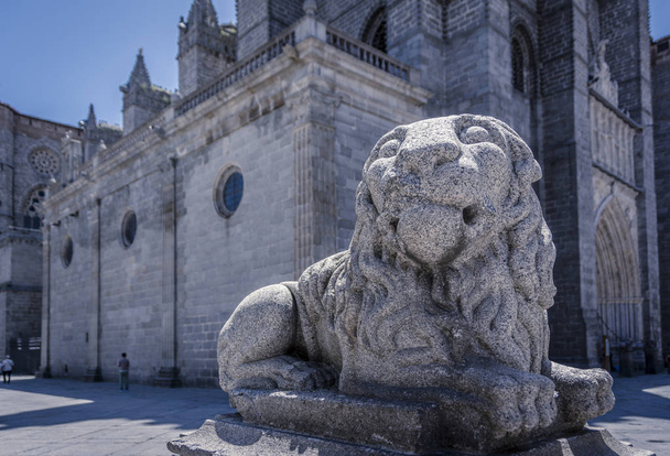 Old statue of a lion in Medieval European Town of Avila - Photo, Image