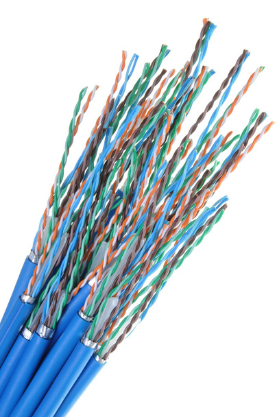 Cables de red cat 6
 - Foto, imagen