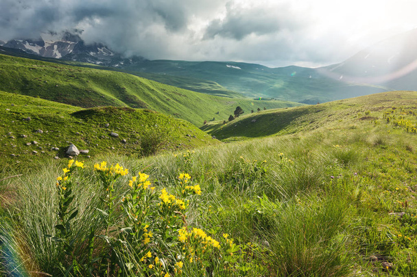 Beautiful mountain valley - Valokuva, kuva