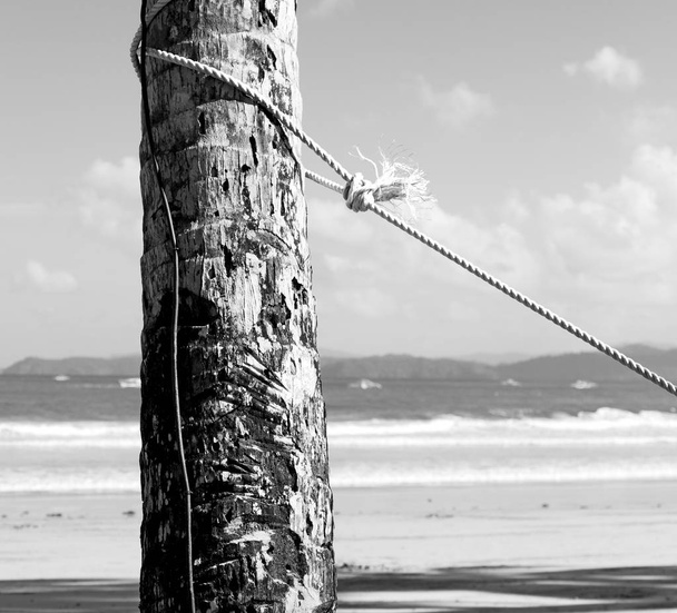 rozmycie w Filipiny liny z hamak, w pobliżu brzegu oceanu i chmury - Zdjęcie, obraz