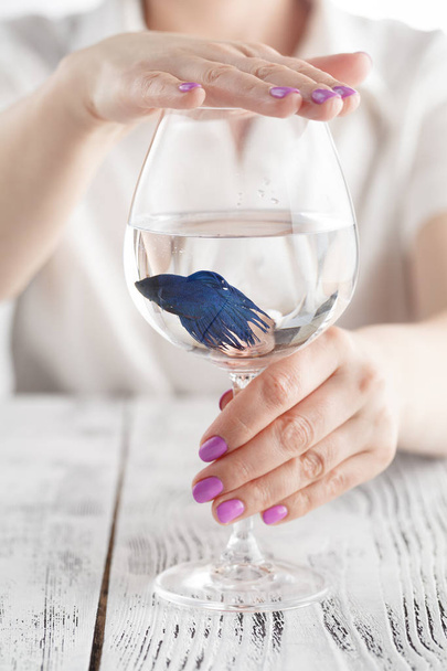 Woman protect fish in a wine glass, ecology, clean water, concept photo - Φωτογραφία, εικόνα