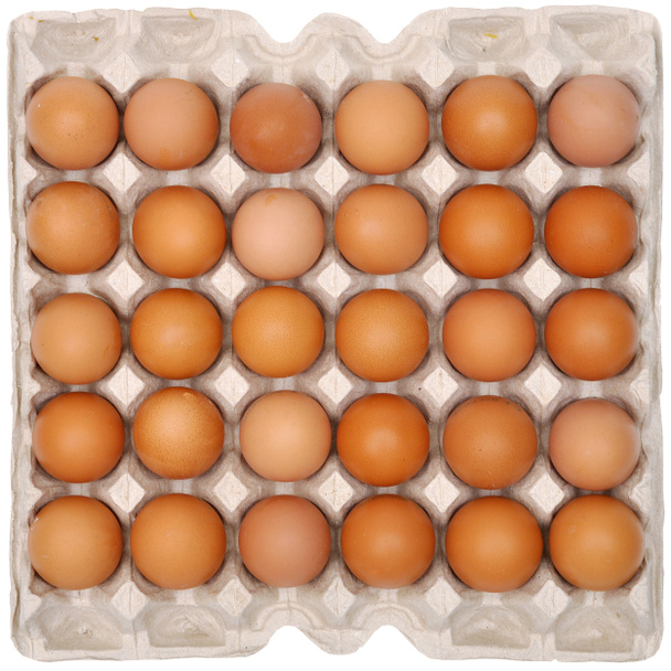 jaja w opakowaniach ochronnych - Zdjęcie, obraz