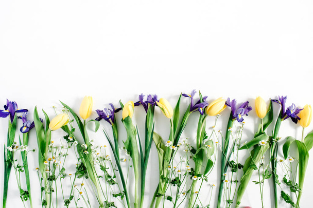 tulipes, camomilles, fleurs d'iris
 - Photo, image