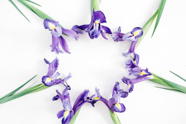 Krásné fialové iris květiny - Fotografie, Obrázek