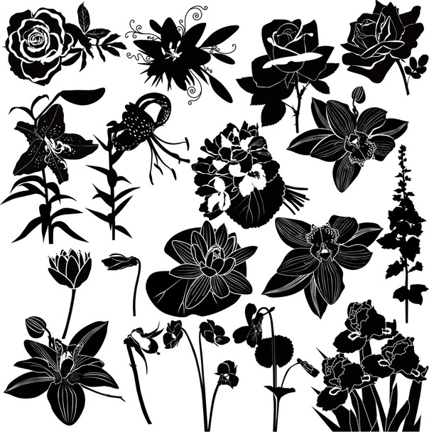 bloem collectie - Vector, afbeelding