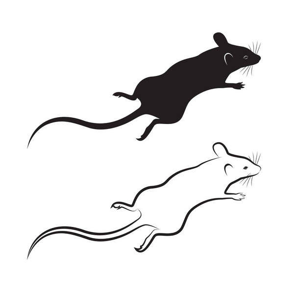 Vettore di un disegno di ratto su sfondo bianco. Animali dei mammiferi
. - Vettoriali, immagini