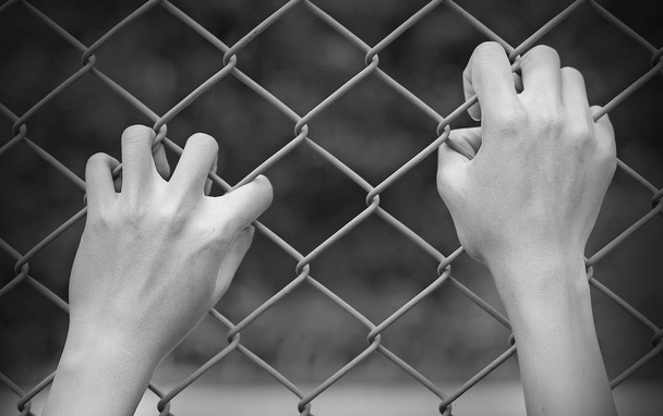 Hand touching iron mesh in black and white tone - Foto, imagen