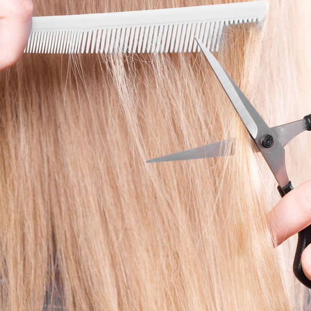 Woman cutting down smoothy hair. - Фото, зображення