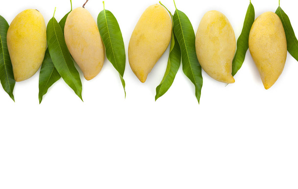 Mango mit Blättern auf weißem Hintergrund. - Foto, Bild