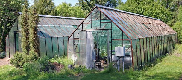 Due serre di vetro rurali per coltivazione di pomodori
  - Foto, immagini
