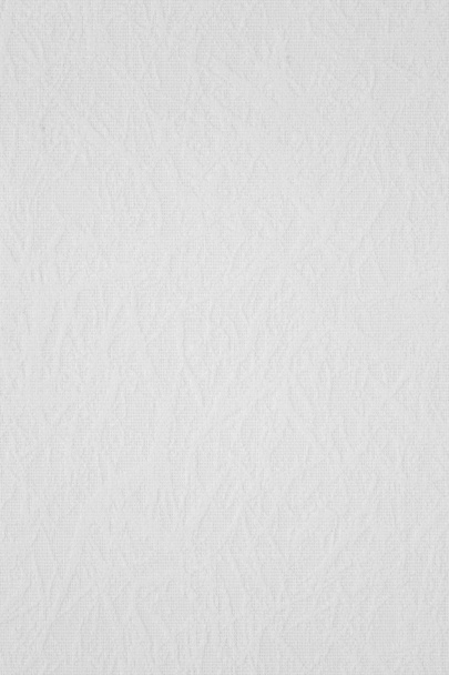 белый холст фон
 - Фото, изображение