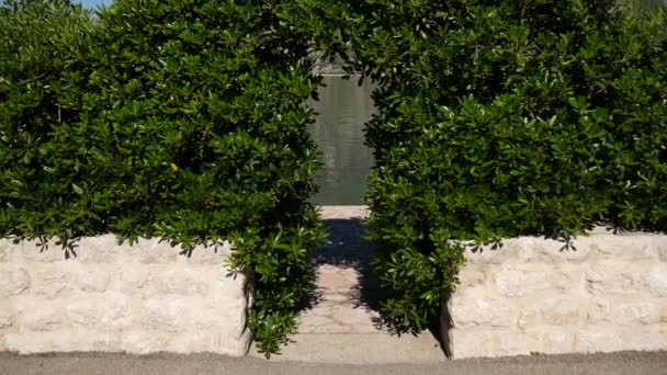 Arch from Pittosporum in Montenegro. Landscaping design of the h - Footage, Video