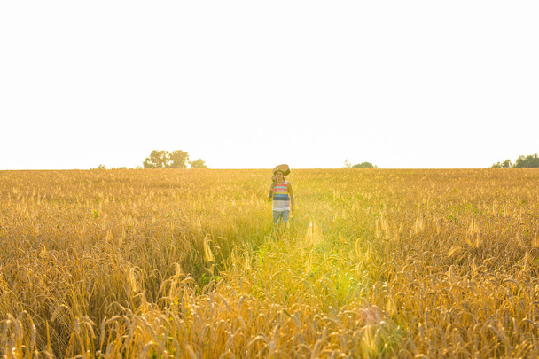 Músico sosteniendo guitarra acústica y caminando en campos de verano al atardecer
 - Foto, imagen