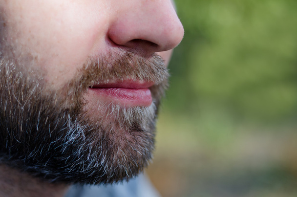 Close-up of a beard - 写真・画像