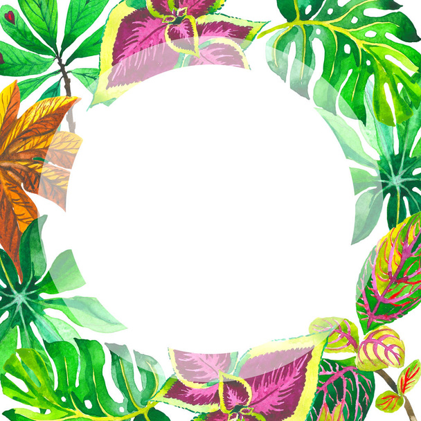 Trooppinen Havaiji lehdet palmu runko akvarelli tyyli eristetty
. - Valokuva, kuva