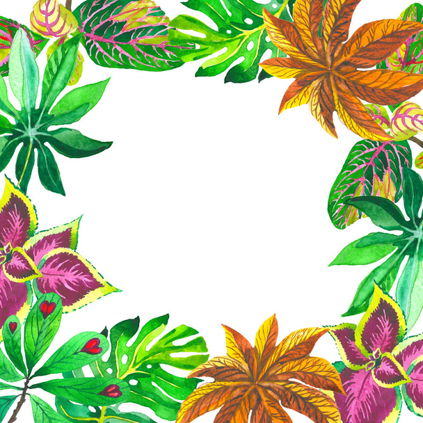 tropische Hawaii Blätter Palmenrahmen in einem Aquarell-Stil isoliert. - Foto, Bild