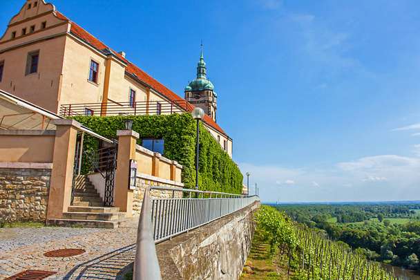 Weinberg vor der Burg melnk Tschechische Republik - Foto, Bild