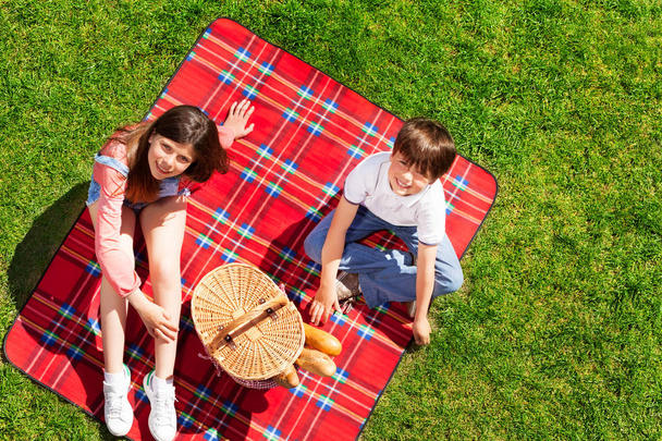 boy and girl on picnic blanket - Foto, Imagem