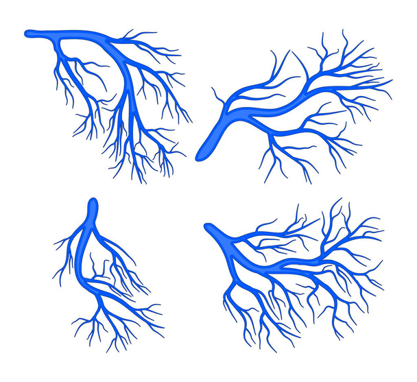 vaso humano azul conjunto vector símbolo icono diseño
. - Vector, imagen