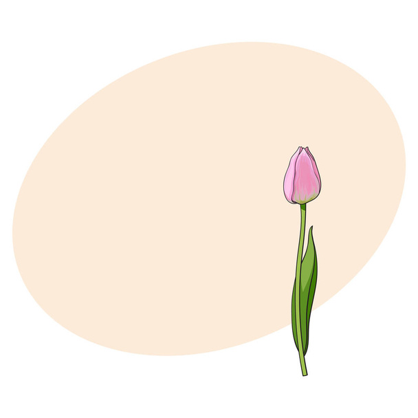 Hand drawn of side view pink tulip flower - Vector, afbeelding