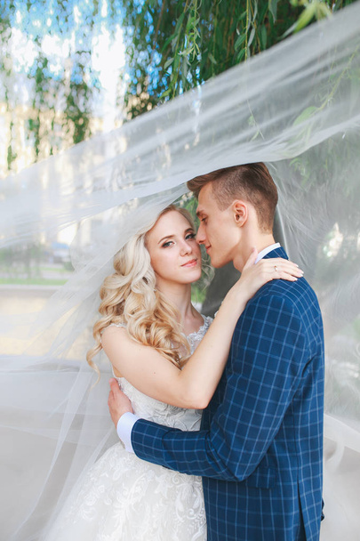 Wedding couple kissing covered veil .Wedding couple is hugging each other. Beauty bride with groom - Φωτογραφία, εικόνα