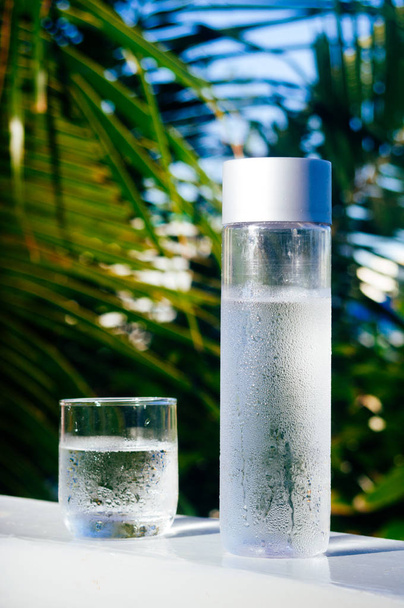 Verfrissend koud drinkbaar water in de fles. Koud water met tropische achtergrond - Foto, afbeelding
