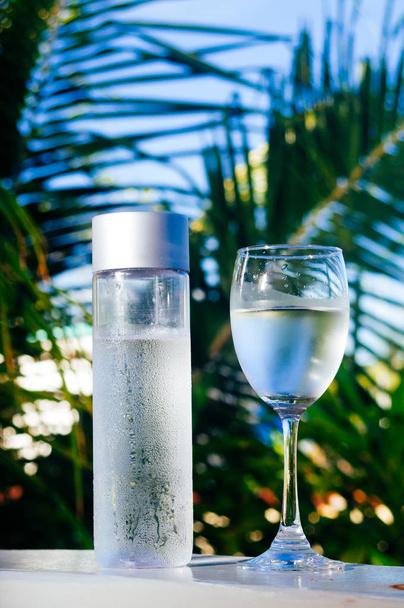 Osvěžující pitné studené vody v láhvi. Studená voda s tropickým pozadím - Fotografie, Obrázek