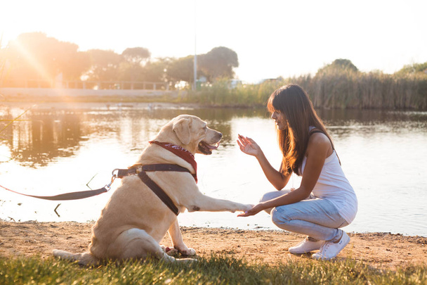 vrouw het onderwijzen van Labrador hond - Foto, afbeelding