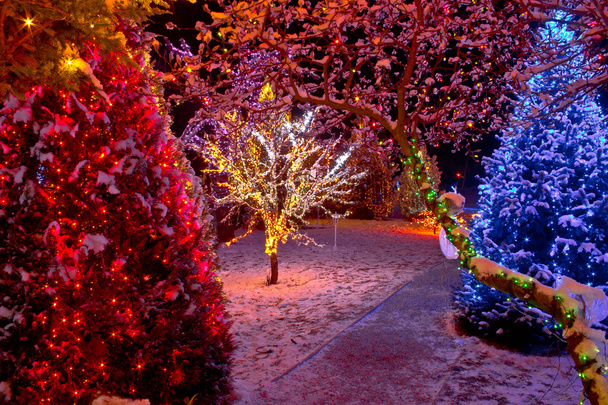 Colorful Christmas lights on trees - Fotoğraf, Görsel
