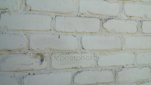 Texture of old brick wall background - Footage, Video