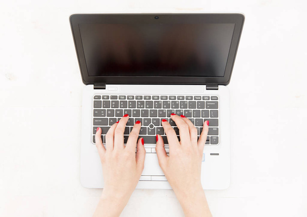 Женщины берут в руки ноутбук, работая в чистом и светлом офисе,
  - Фото, изображение