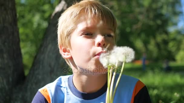 Handsome boy blowing dandelion seeds in the Park , slow motion - Footage, Video