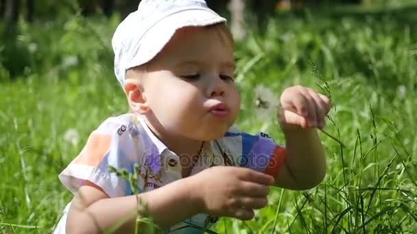Handsome boy blowing dandelion seeds in the Park , slow motion - Footage, Video