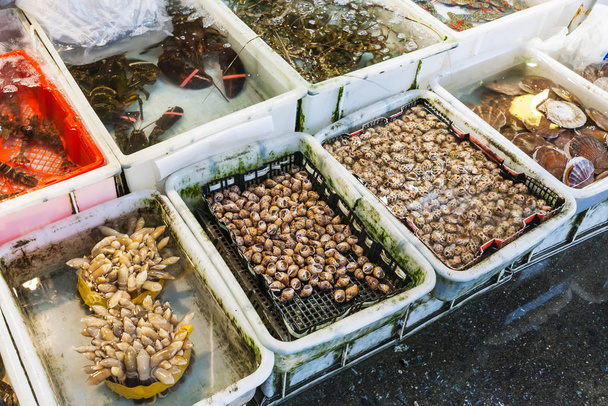 uspokaja i homary w targu rybnego w Guangzhou - Zdjęcie, obraz