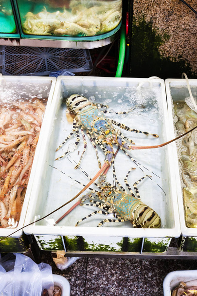 Колючій омарів в рибний ринок в місті Гуанчжоу - Фото, зображення