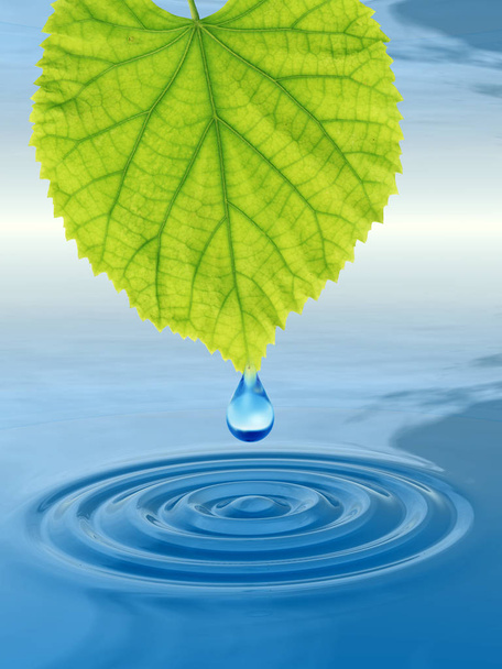 dewdrop falling from green leaf - Фото, изображение