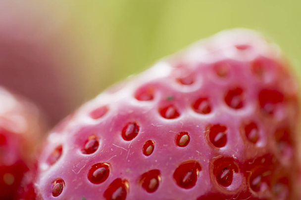 Fresh organic strawberries - Photo, Image