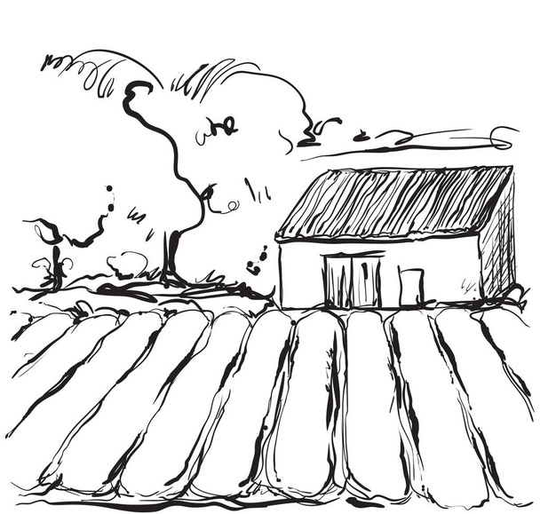 Ilustración dibujada a mano de un campo y una casa
 - Vector, imagen