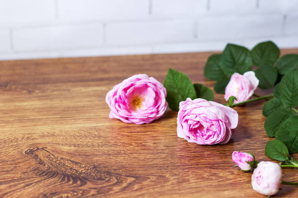 Fleur de thé bourgeons roses sur une vieille table en bois
 - Photo, image