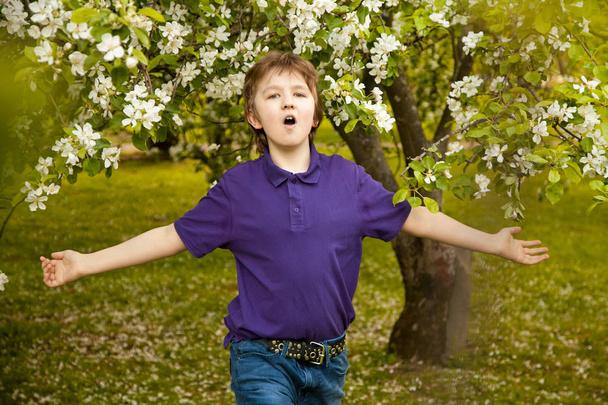 Hübscher Junge im Apfelgarten freut sich über Blüten im Frühling - Foto, Bild