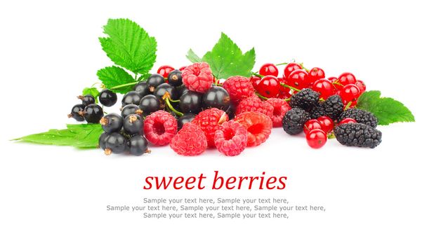 Red and black berry & text - Zdjęcie, obraz