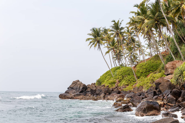 landscape with tropical beach - 写真・画像